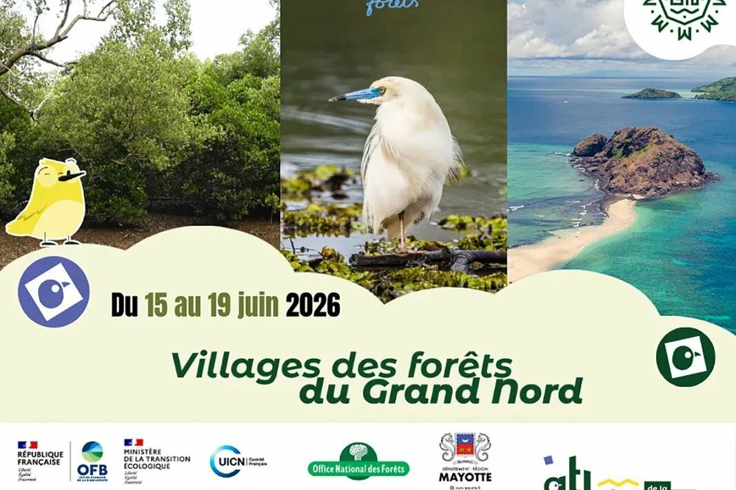 Mayotte : le Grand Nord lance son premier festival dédié aux forêts