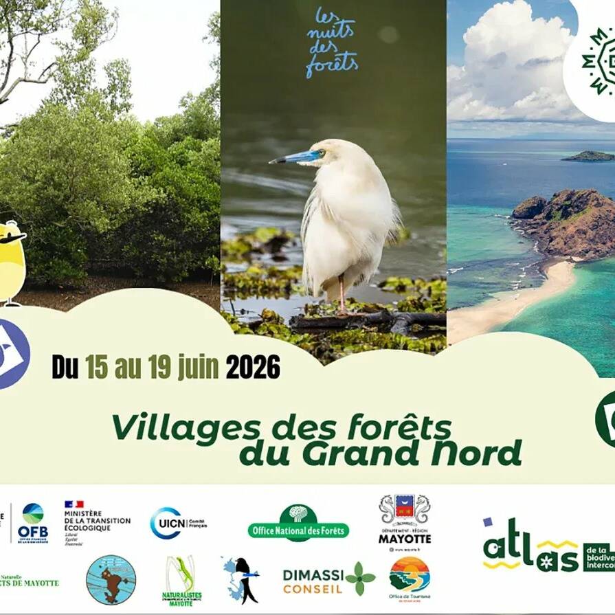 Mayotte : le Grand Nord lance son premier festival dédié aux forêts