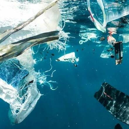 Outre-mer : le cadre légal se durcit pour la gestion des déchets maritimes