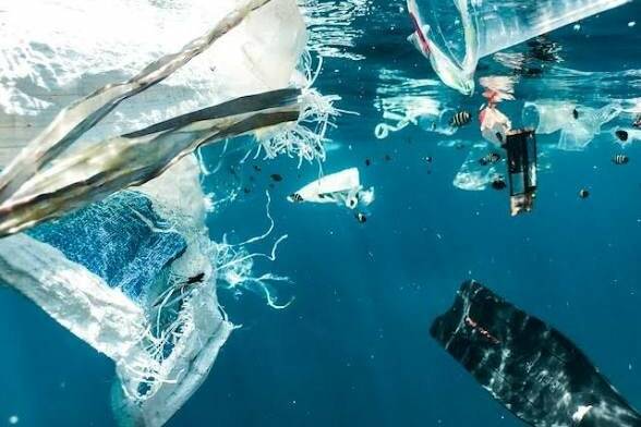 Outre-mer : le cadre légal se durcit pour la gestion des déchets maritimes