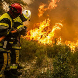 Mayotte : plusieurs feux de végétation mobilisent les secours en pleine saison sèche