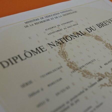 Brevet 2026 : plus de 10 600 collégiens diplômés dans l'académie