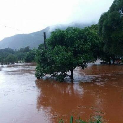 Nouvelle-Calédonie : les inondations frappent durement les exploitations agricoles de Bourail