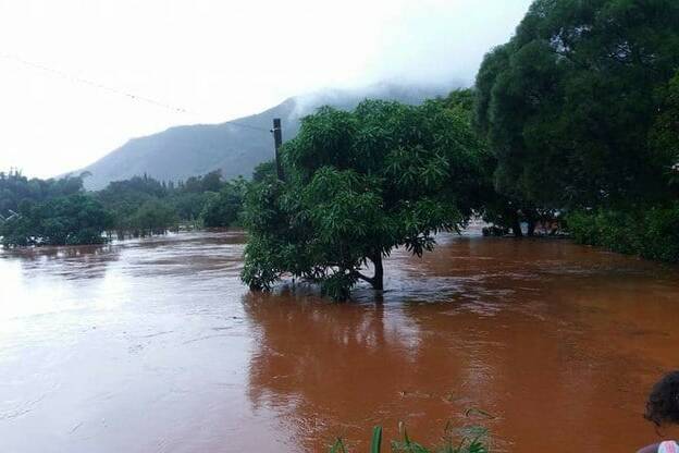 Nouvelle-Calédonie : les inondations frappent durement les exploitations agricoles de Bourail