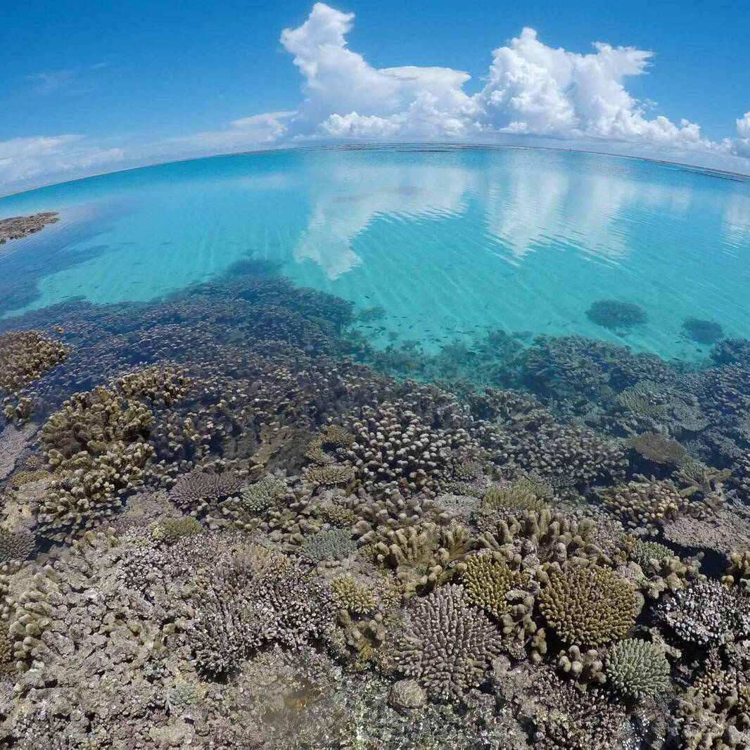 Mayotte : les élus valident la candidature du lagon à l'UNESCO
