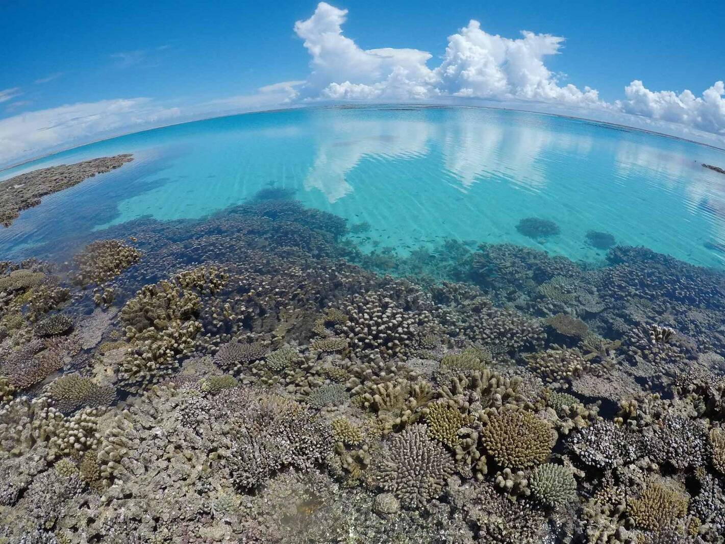 Mayotte : les élus valident la candidature du lagon à l'UNESCO