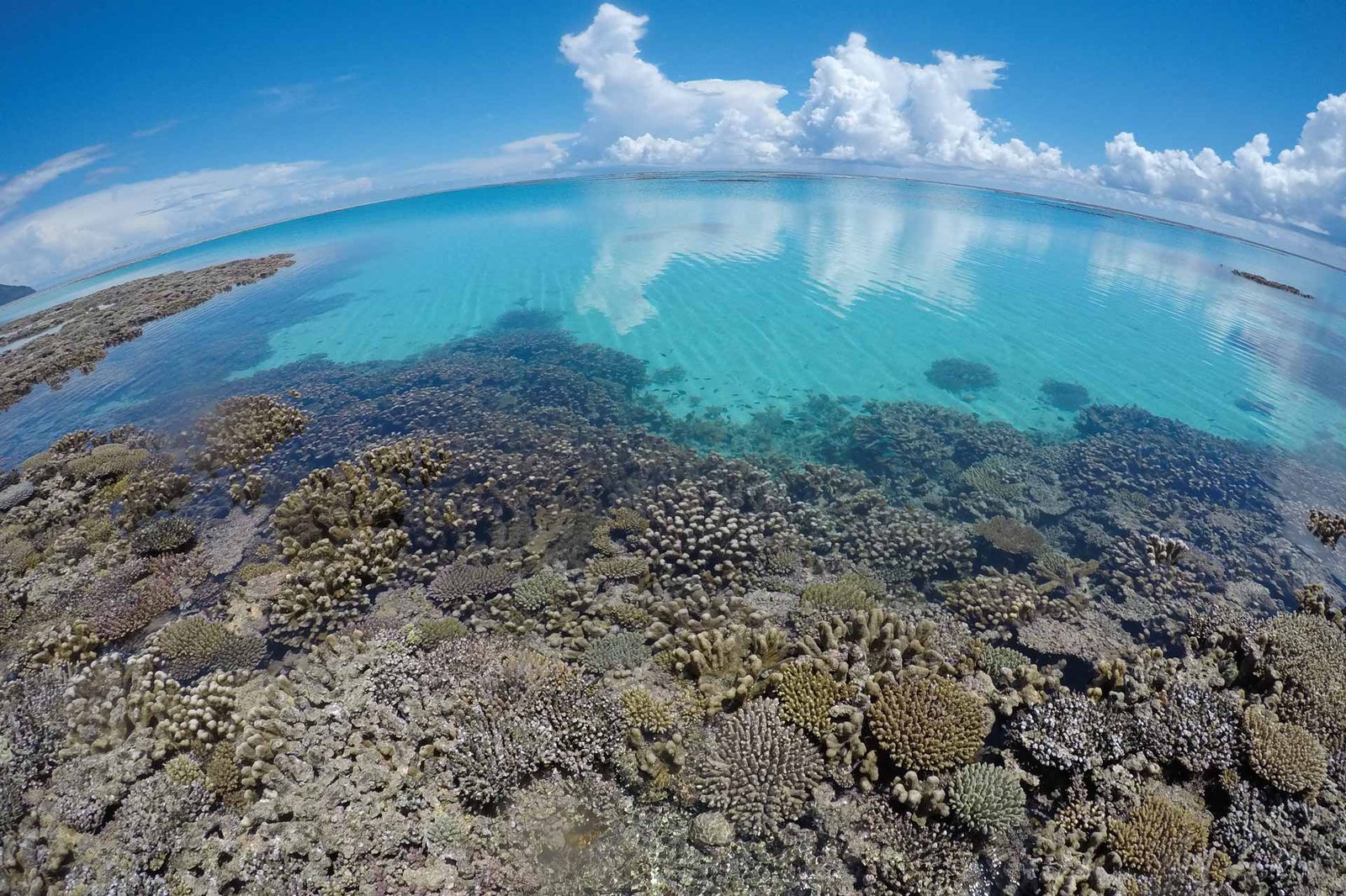 Mayotte : les élus valident la candidature du lagon à l'UNESCO
