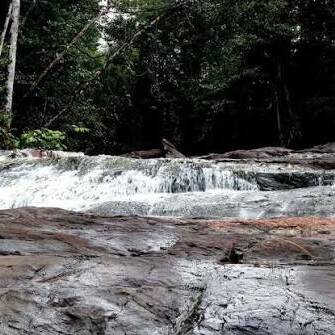 Guyane : les chutes Voltaire rouvrent après plusieurs années de fermeture