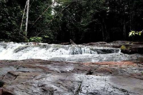 Guyane : les chutes Voltaire rouvrent après plusieurs années de fermeture