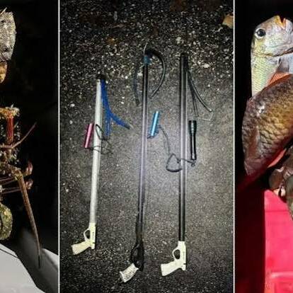 Polynésie : trois pêcheurs pris en flagrant délit de braconnage dans une zone protégée de Punaauia