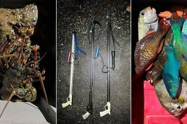 Polynésie : trois pêcheurs pris en flagrant délit de braconnage dans une zone protégée de Punaauia