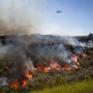 Pouembout : un incendie possiblement criminel menace plusieurs habitations