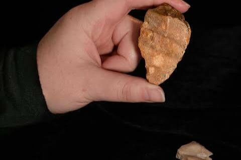 Saint-Pierre-et-Miquelon : les fouilles archéologiques révèlent des traces d'une présence humaine vieille de plus de 1 000 ans