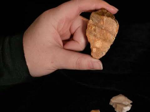 Saint-Pierre-et-Miquelon : les fouilles archéologiques révèlent des traces d'une présence humaine vieille de plus de 1 000 ans
