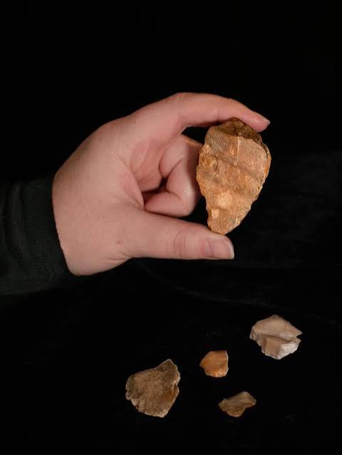 Saint-Pierre-et-Miquelon : les fouilles archéologiques révèlent des traces d'une présence humaine vieille de plus de 1 000 ans