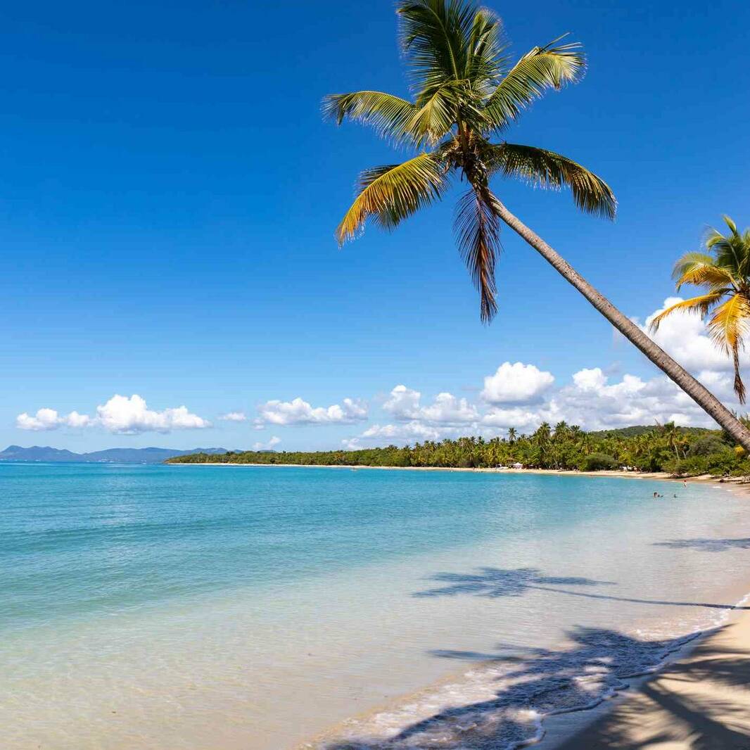Martinique : la 40e édition du Tour des Yoles s'achève avec succès