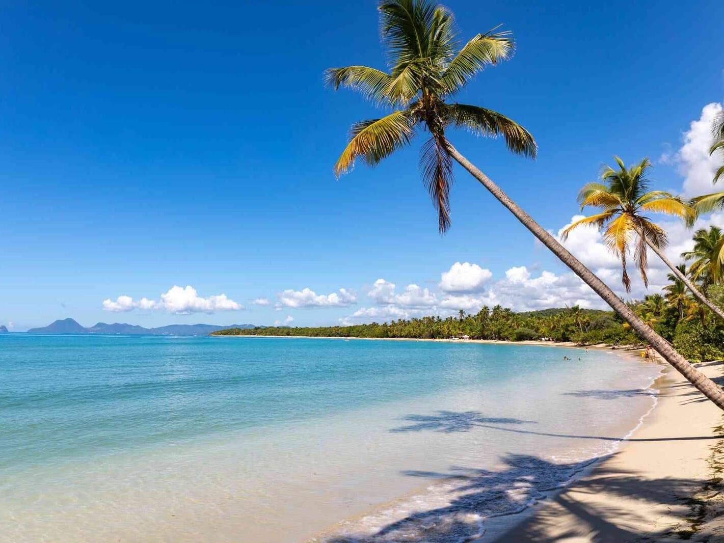 Martinique : la 40e édition du Tour des Yoles s'achève avec succès