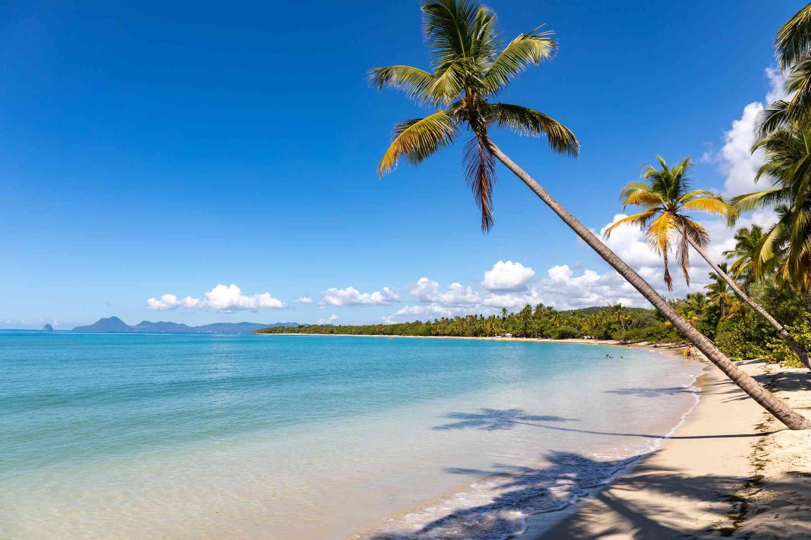 Martinique : la 40e édition du Tour des Yoles s'achève avec succès