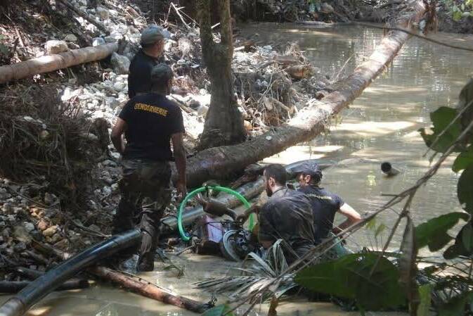 Guyane : une femme jugée pour avoir alerté des orpailleurs illégaux lors d’une opération Harpie