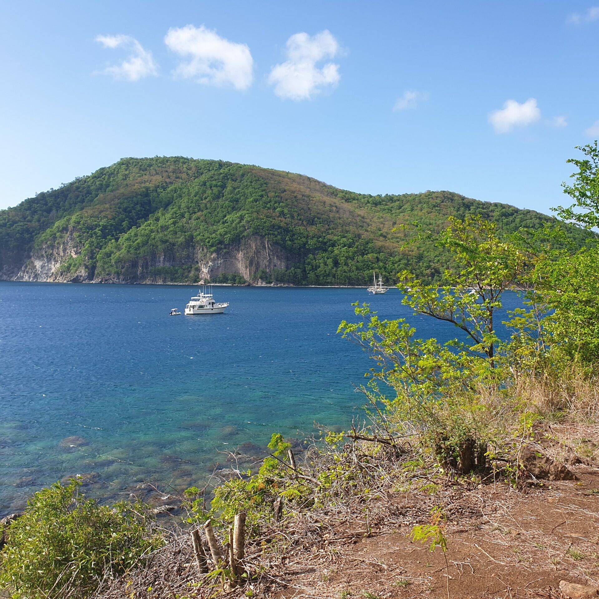 Guadeloupe : le Parc national veut faire de la biodiversité un levier de développement