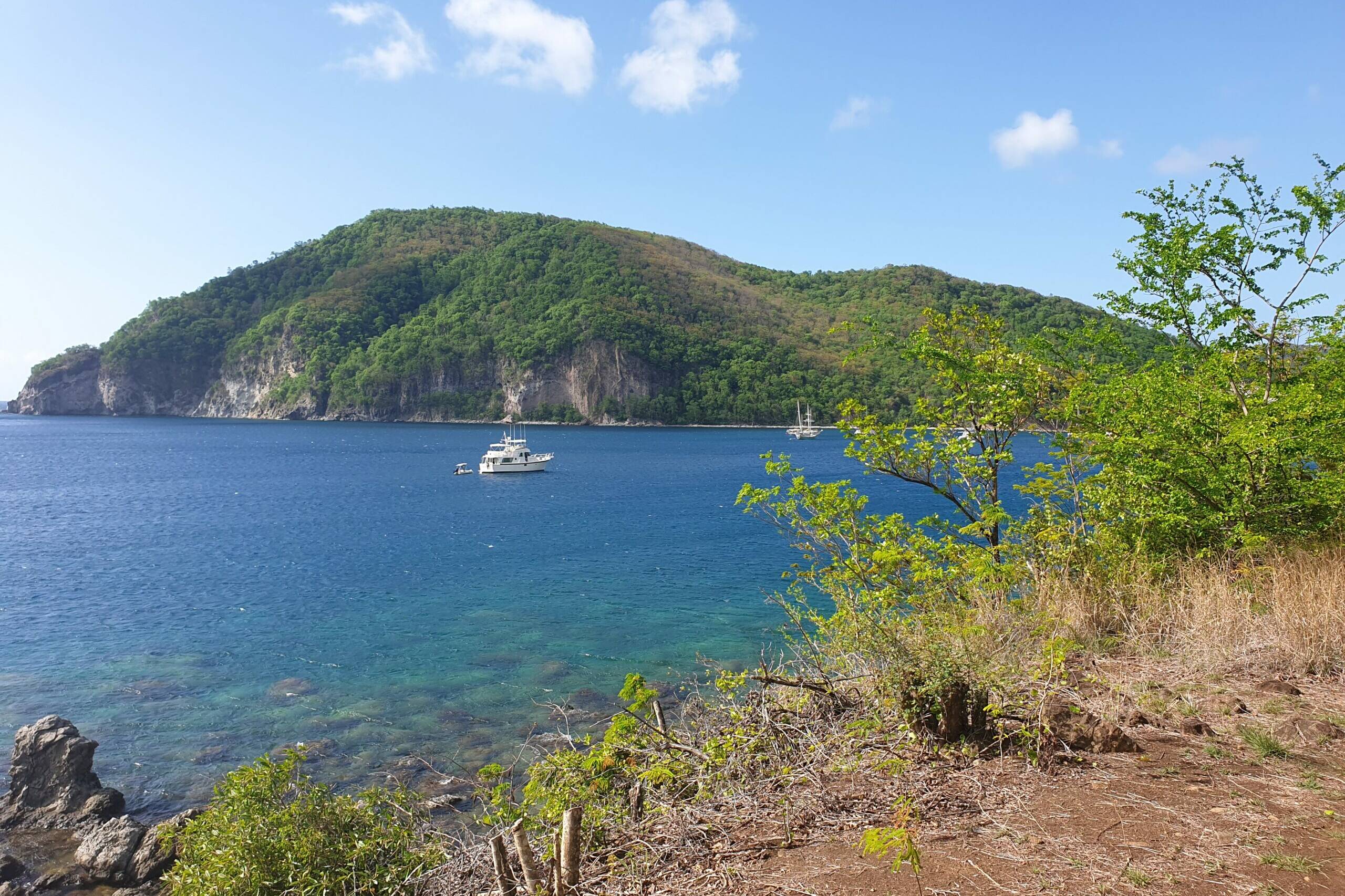 Guadeloupe : le Parc national veut faire de la biodiversité un levier de développement