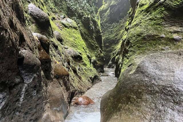 Martinique : un homme de 34 ans meurt après une chute dans un ravin à Ajoupa-Bouillon